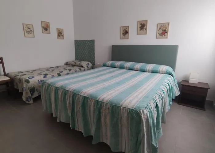 Perla Adriatica Apartment Alba Adriatica